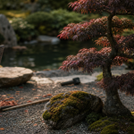 Arbres japonais niwaki en jardin zen, érable taillé