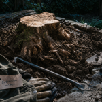 Comment enlever des racines profondes : extraction de souche, racines sectionnées et terre