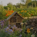 Attirer les pollinisateurs au jardin : fleurs, hôtel à insectes et bois