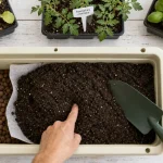 Potager sur balcon : jardinière avec terreau et plants